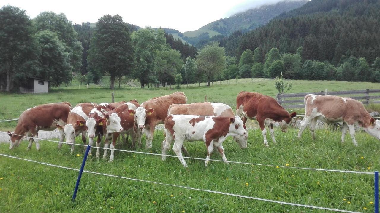 Schiessling Hof Βίλα Oberndorf in Tirol Εξωτερικό φωτογραφία