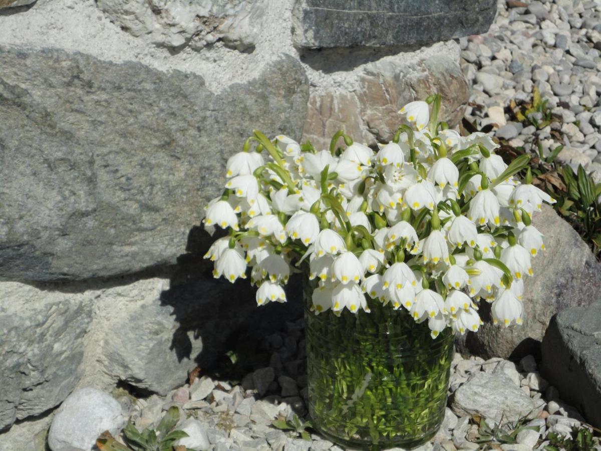 Schiessling Hof Βίλα Oberndorf in Tirol Εξωτερικό φωτογραφία